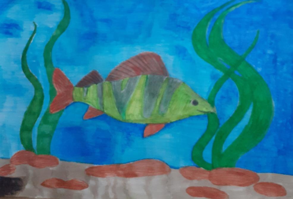 обитатели воды