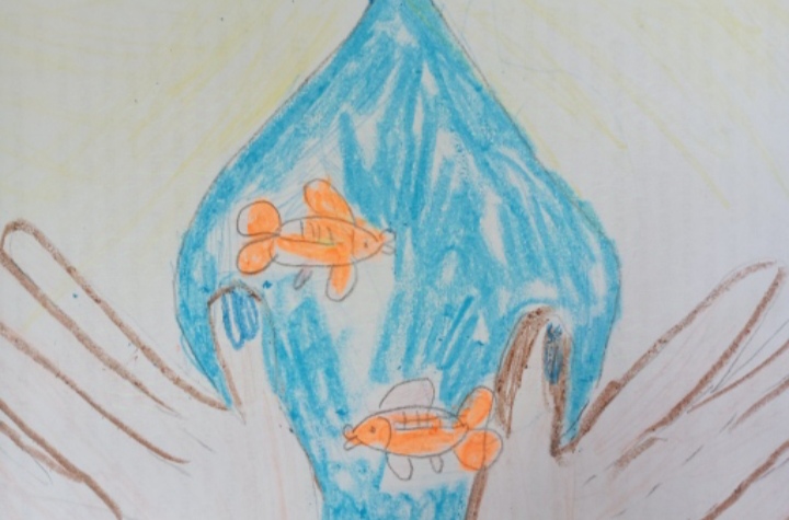 Капсула чистоты