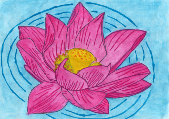 Красота рядом