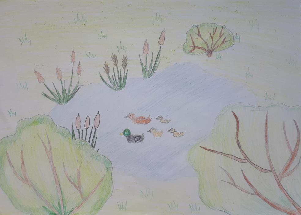 Михайловский пруд