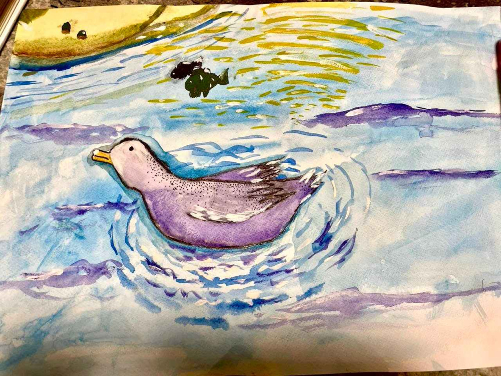 Лето у бабушки