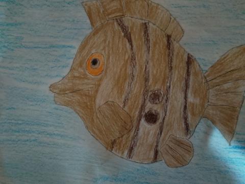 Красивая рыбка