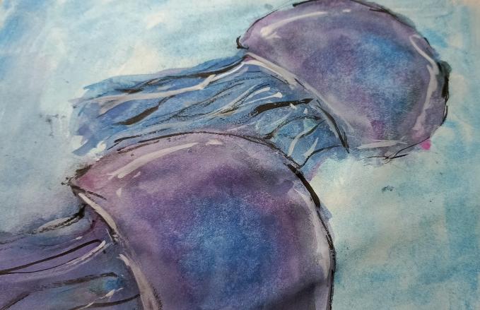 Тёмные медузы 