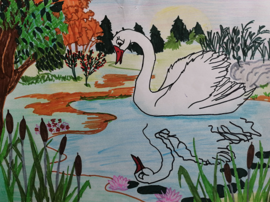 Белый лебедь