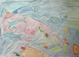 Морской мир