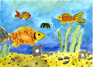 Мои любимые рыбки в пруду