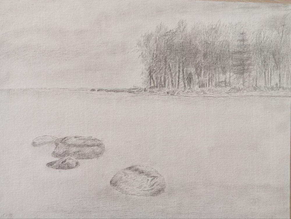 Ладышское озеро