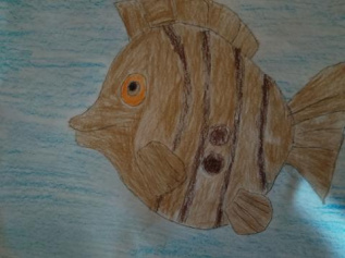 Красивая рыбка