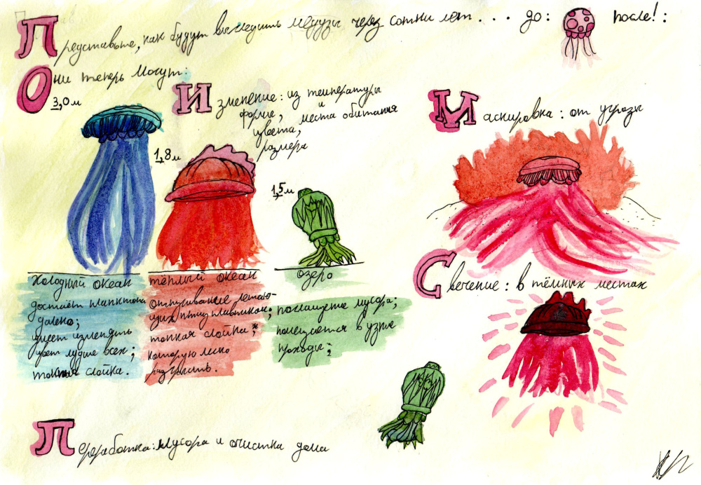 Эволюция медуз