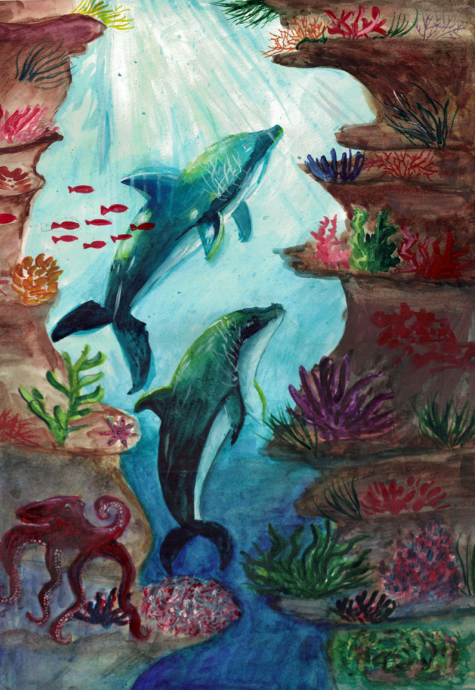 Обитатели Черного моря