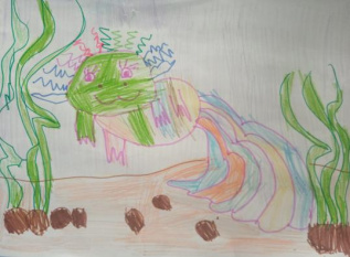 Речная радуга