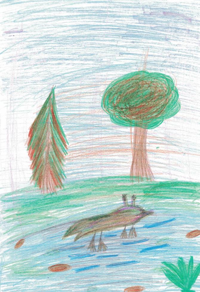 Лягушка "Кракрзябра"