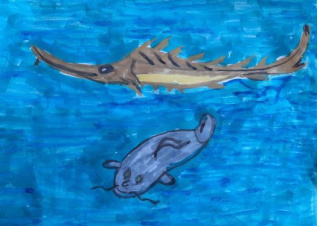 Красивые рыбки