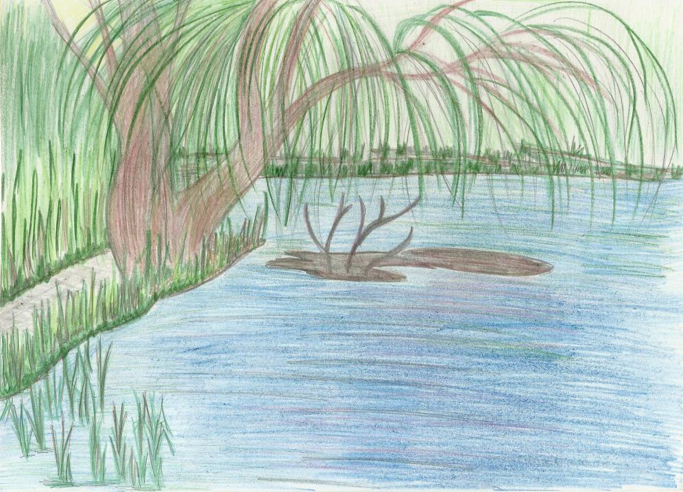 Река моего детства