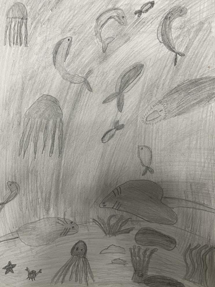 Подводный мир