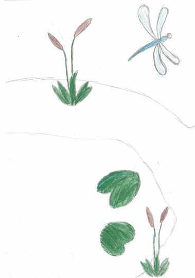 Озеро "Природа"