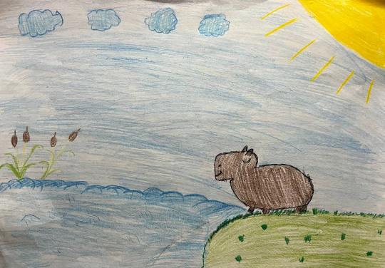 "Капибара у озера"