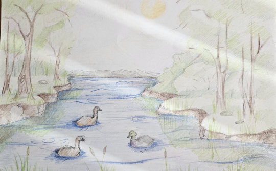 Любимый водоём