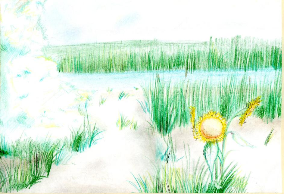 Река Ея в моей станице Крыловской 