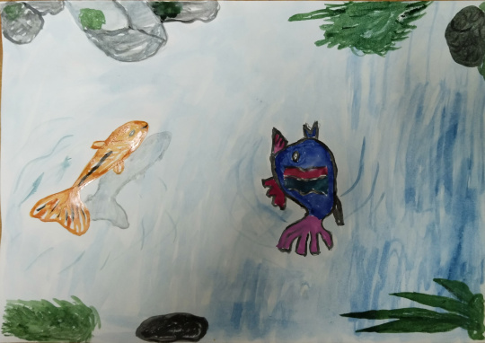 Любимые рыбки 