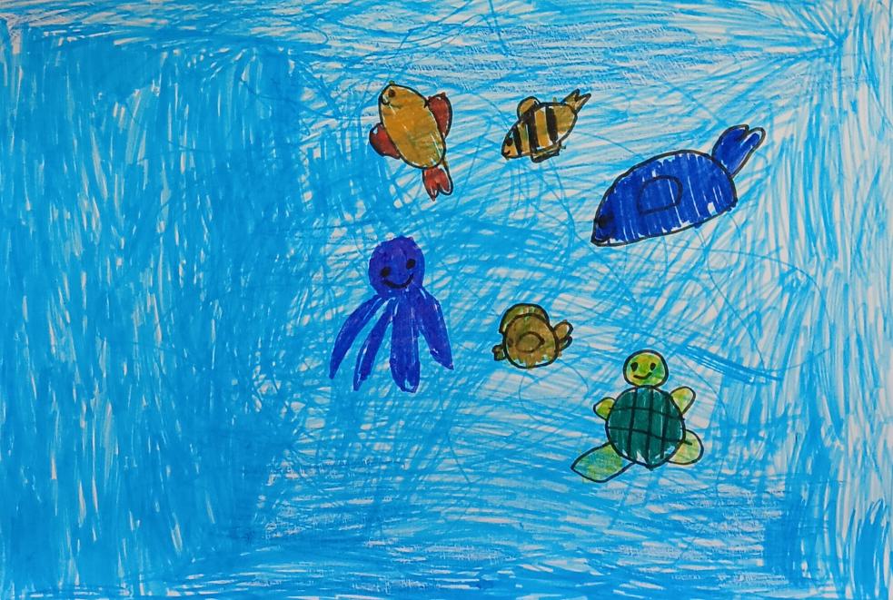 Морские обитатели