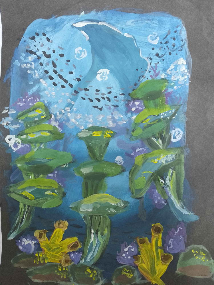 Живой океан! 