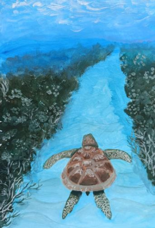 Гостья из южных морей