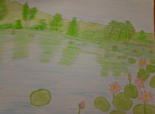 Лотосы комарова