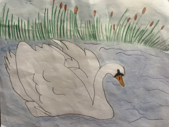 Лебедь на озере