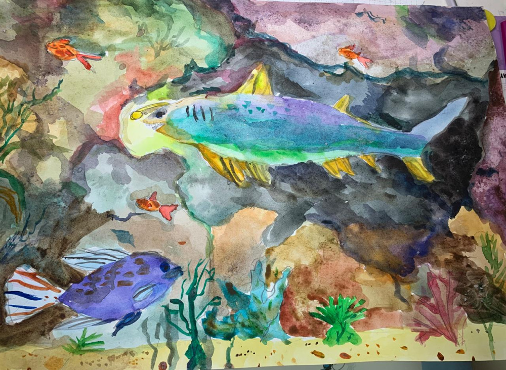 Радужная акула