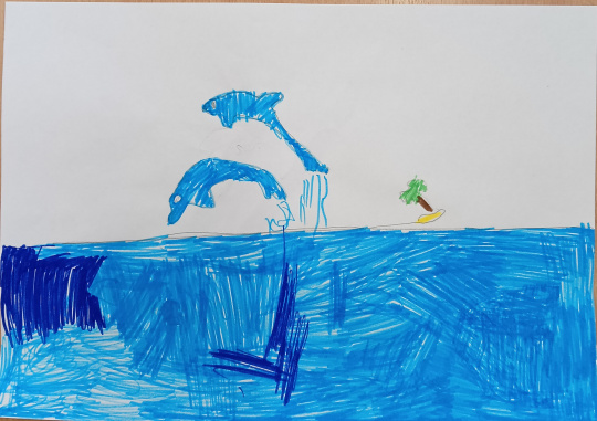 Морские обитатели.