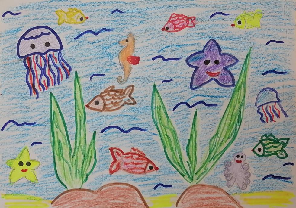 Морская жизнь. 