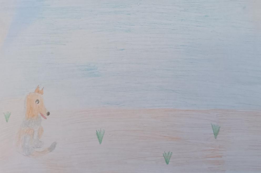 Счастливый корги