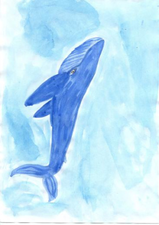 Кит морской 