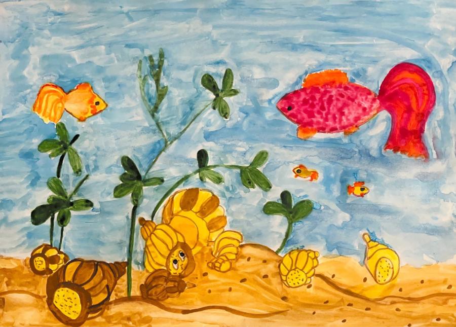 Черное море летом.