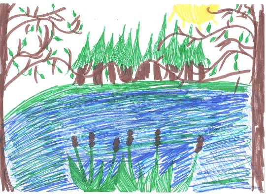 Любимый водоем