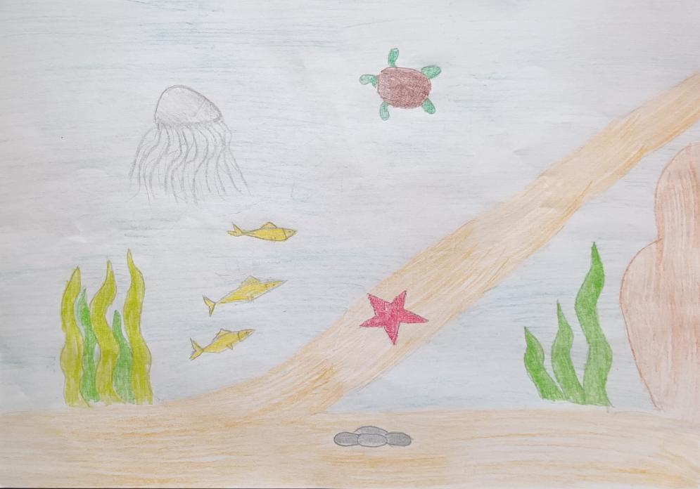 Жители морей и океанов. 