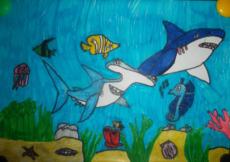 Жизнь в океане