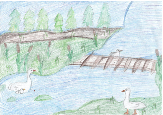 Мое любимое место