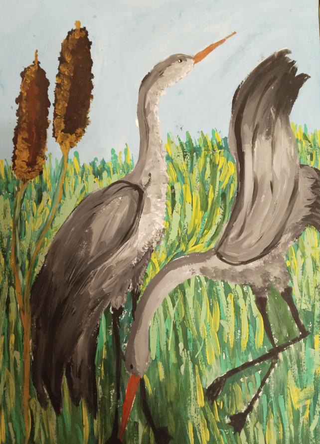 Цапли утром на берегу речки