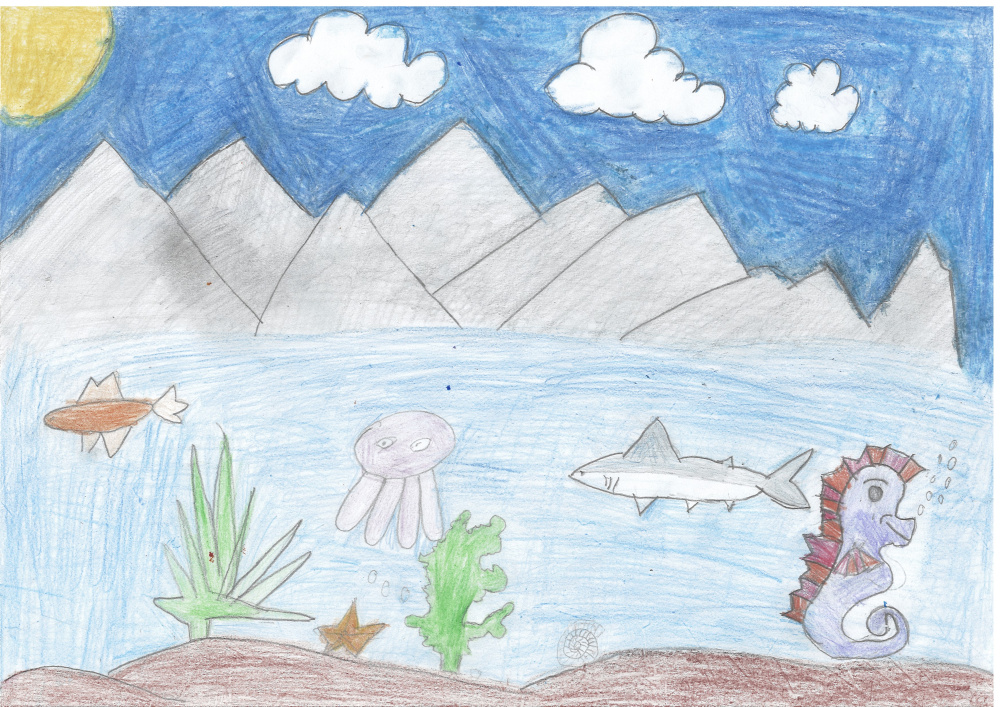 Морские жители