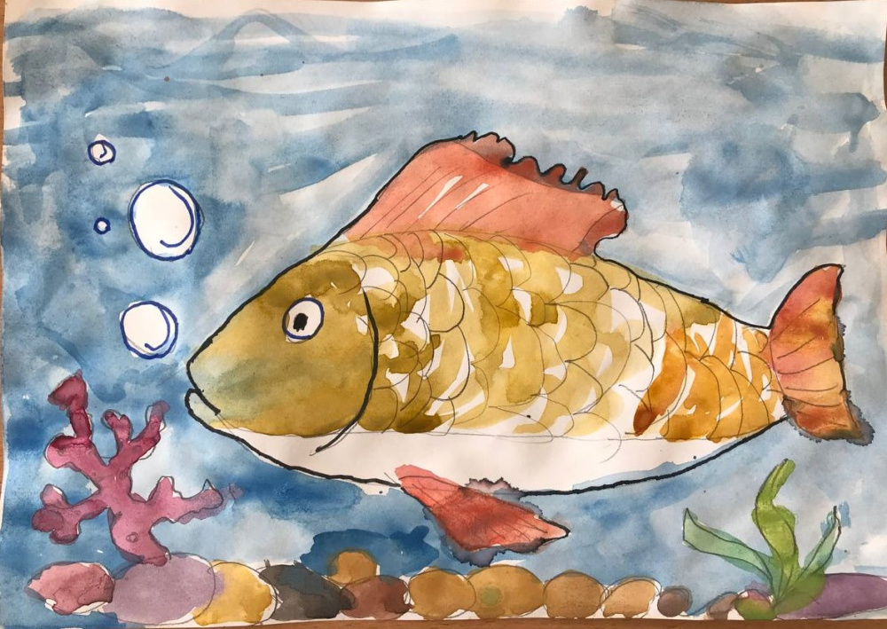 Вода — основа жизни на Земле.