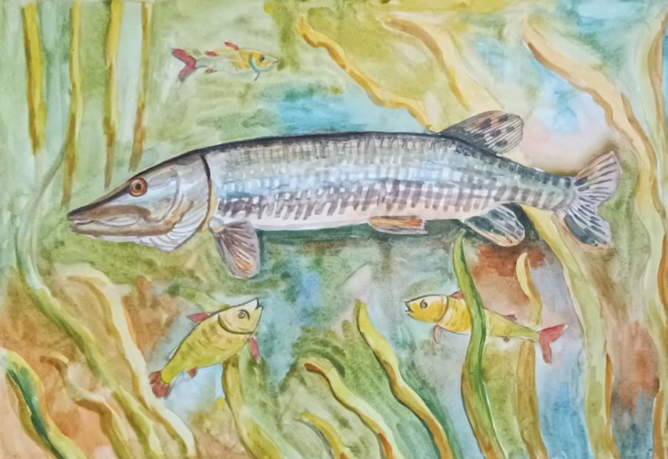 Донская Щука