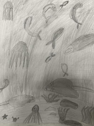 Подводный мир