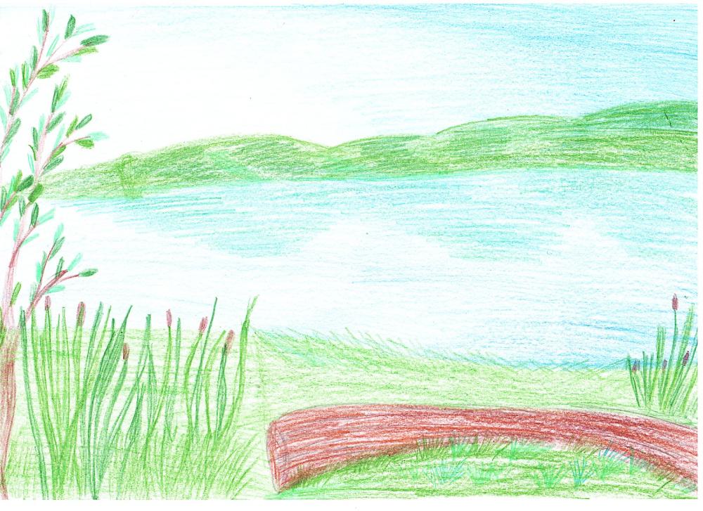 Пруд Становое с.Косилово