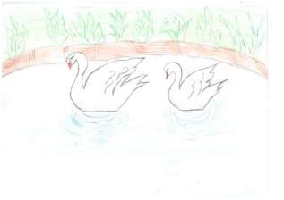 "Лебединое озеро"