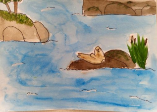 Нерпа на Ладожском озере