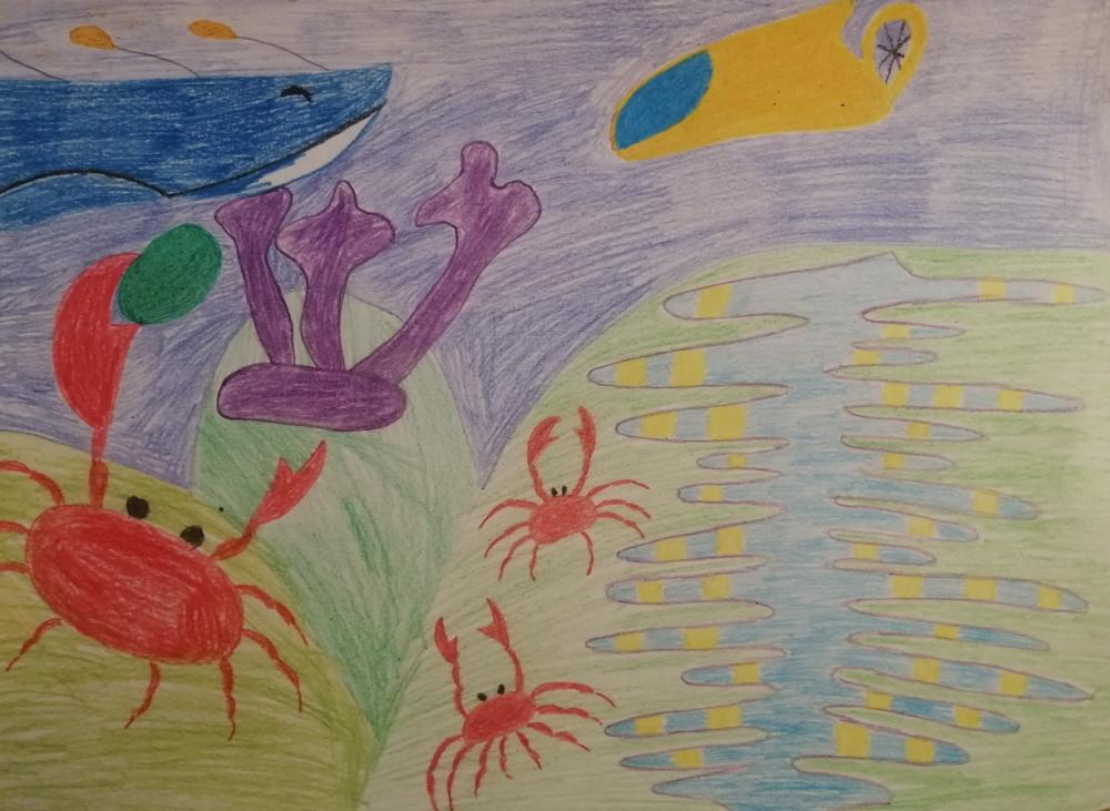 Глубина Марианской впадины 