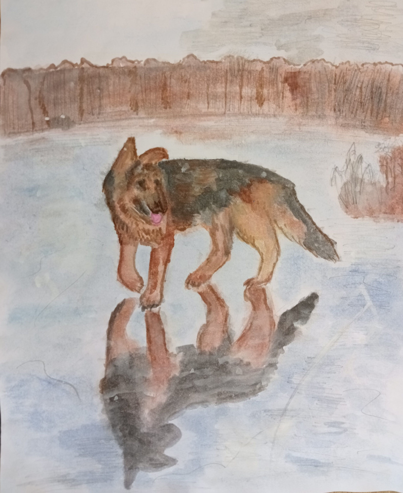 "Мы любим наше озеро"