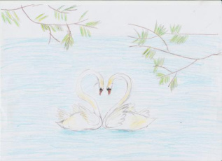 Семья лебедей